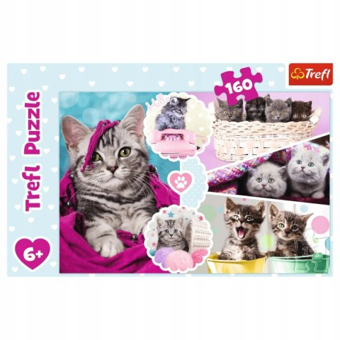 Puzzle Koty 160 elementów Urocze kotki Trefl 15371