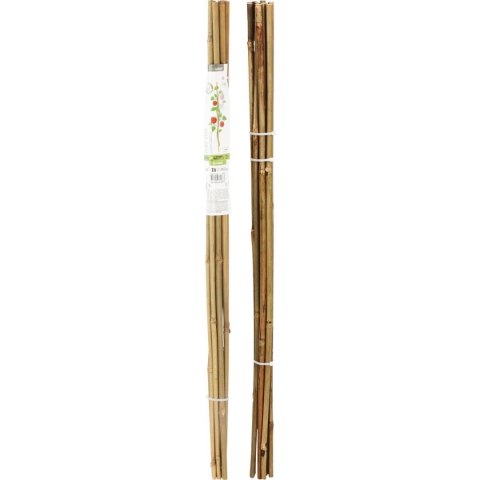 PODPORA DO ROŚLIN 150cm BAMBUS 10SZT PROGARDEN