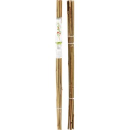 PODPORA DO ROŚLIN BAMBUSOWA TYCZKA 116 CM 10SZT PROGARDEN