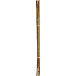 PODPORA DO ROŚLIN BAMBUSOWA TYCZKA 116 CM 10SZT PROGARDEN