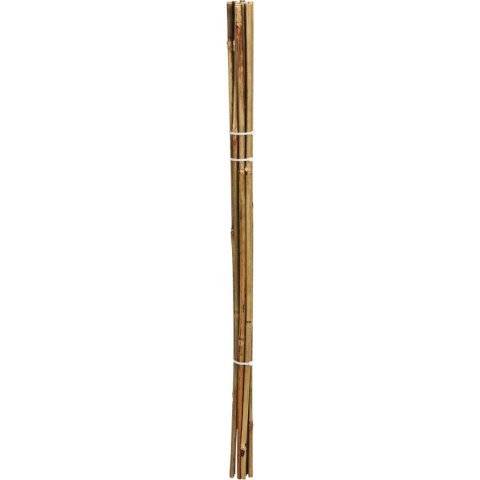 PODPORA DO ROŚLIN BAMBUSOWA TYCZKA 116 CM 10SZT PROGARDEN