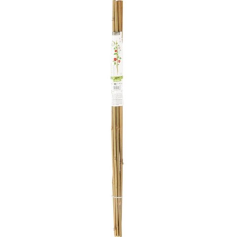 PODPORA DO ROŚLIN BAMBUSOWA TYCZKA 116 CM 10SZT PROGARDEN