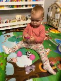 TAMAGOTCHI TAMAGOCZI INTERAKTYWNE ZWIERZĄTKO 168R