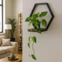 Kwietnik ścienny półka wisząca na kwiaty ozdoby loft heksagon ModernHome