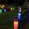 LAMPA SOLARNA PATHWAY 4LED 2 KOLORY 32,5CM