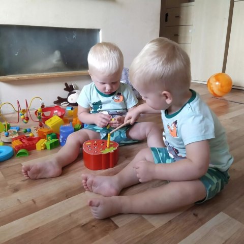 Gra Truskawka na Magnes - Łap Robaczki Drewniana