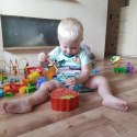 Gra Truskawka na Magnes - Łap Robaczki Drewniana