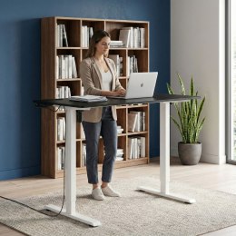 Biurko elektryczne regulowane 120x60 cm regulacja wysokości 72-117 cm ModernHome
