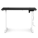 Biurko elektryczne regulowane 120x60 cm regulacja wysokości 72-117 cm ModernHome