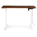 Biurko elektryczne regulowane 120x60 cm regulacja wysokości 72-117 cm ModernHome