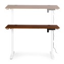 Biurko elektryczne regulowane 120x60 cm regulacja wysokości 72-117 cm ModernHome