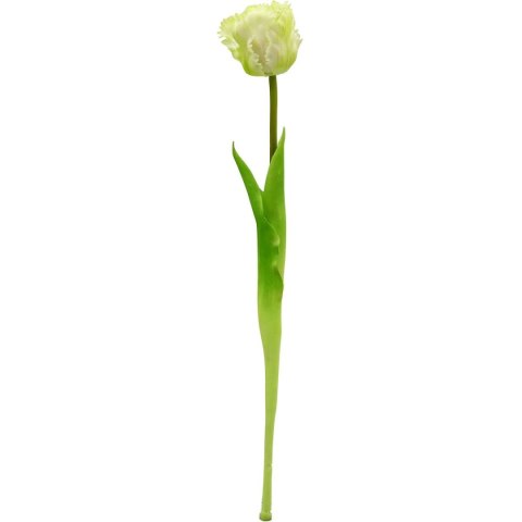 TULIPAN BIAŁY 38CM JAK ŻYWY DEKORACJA WIOSENNA