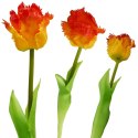TULIPAN POMARAŃCZOWY 38CM JAK ŻYWY DEKORACJA WIOSENNA