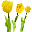 TULIPAN ŻÓŁTY 38CM JAK ŻYWY DEKORACJA WIOSENNA