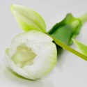 BUKIET 5 TULIPANÓW BIAŁYCH 39CM JAK ŻYWYCH DEKORACJA WIOSENNA
