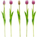 BUKIET 5 TULIPANÓW FIOLETOWYCH 39CM JAK ŻYWYCH DEKORACJA WIOSENNA