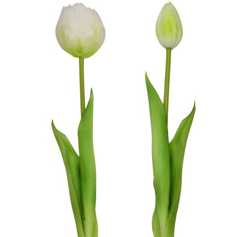 BUKIET 5 TULIPANÓW PIWONIOWYCH BIAŁYCH 39CM JAK ŻYWYCH DEKORACJA WIOSENNA
