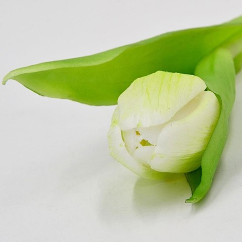 TULIPAN BIAŁY 31CM JAK ŻYWY DEKORACJA WIOSENNA