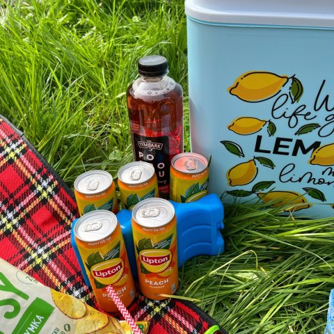 Lodówka turystyczna 24L Kamai Coolbox na wkłady mrożące, niebieska z nadrukiem cytryn, żółta pokrywa i biała rączka
